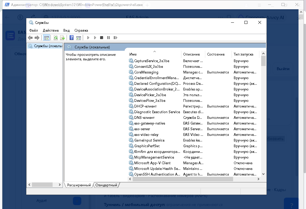 Службы Windows: eas-server, eas-gateway-native, eas-video-relay (лабораторный стенд)